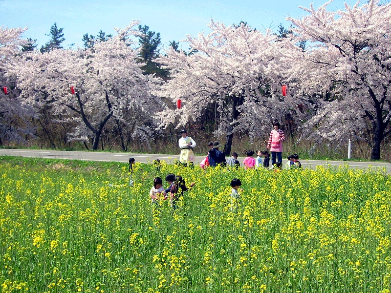 18年版 秋田県のgwに行っておきたいイベントまとめ