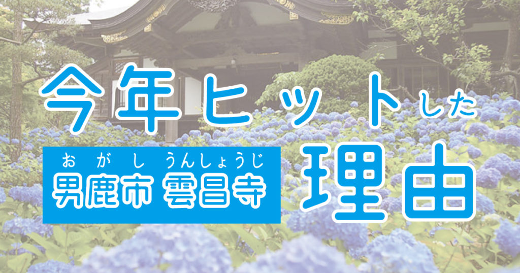 うんしょうじ 紫陽花 2020